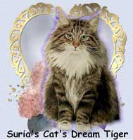 http://www.suriascats.de