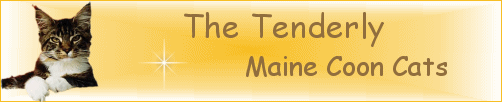http://www.tenderlycoon.de