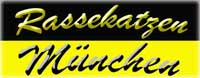 http://www.rassekatzen-muenchen.de